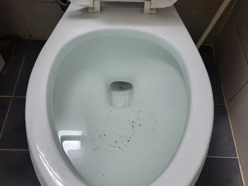 진주 변기막힘 작업사례